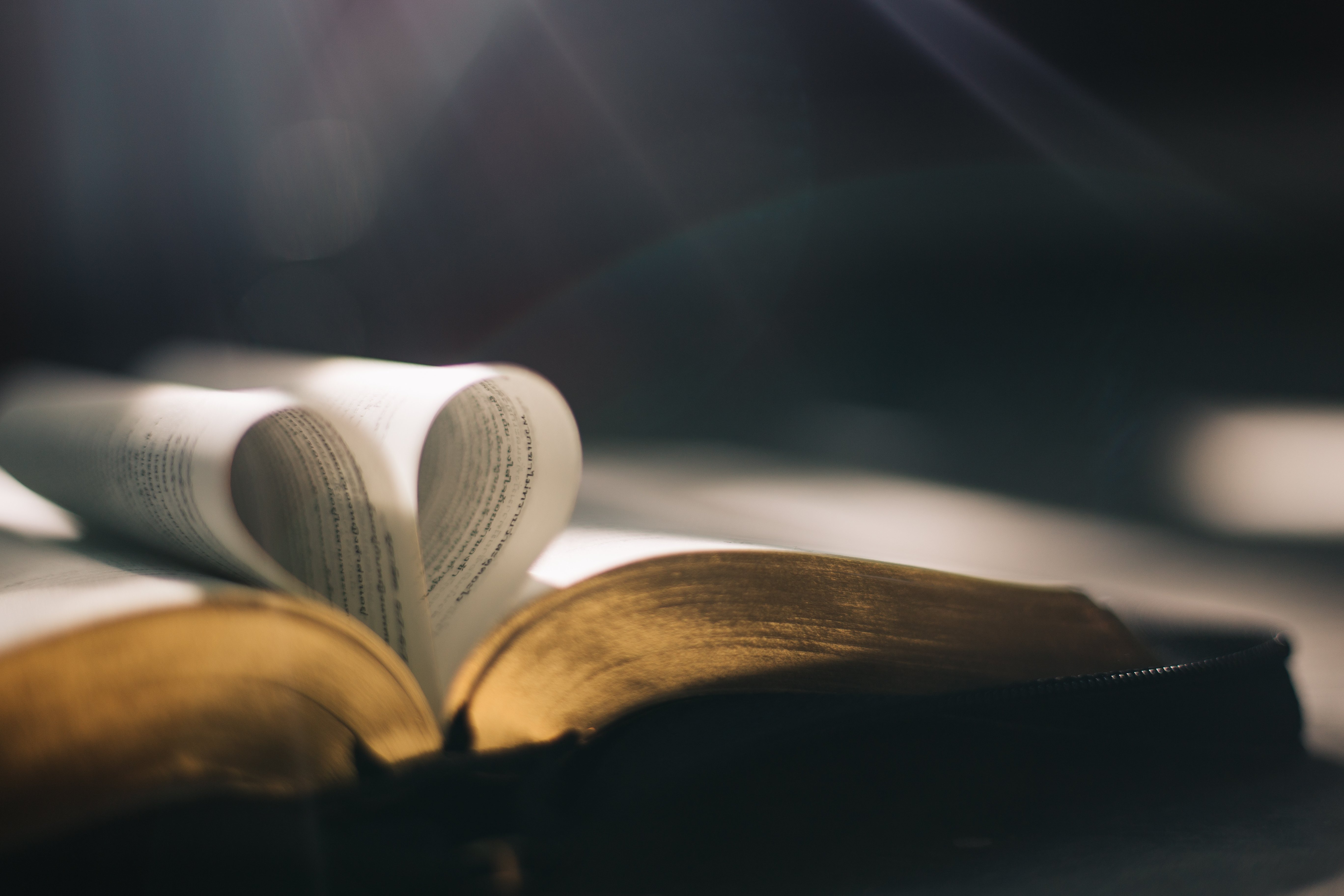 AdobeStock_310396201