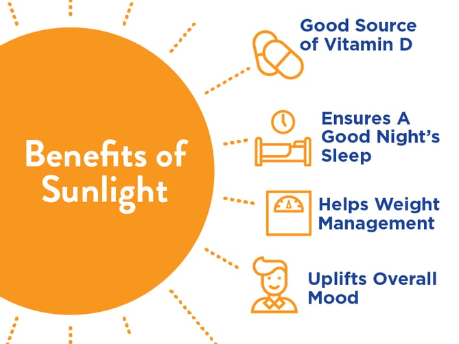benefits of sunlight graphic 