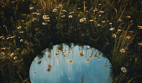 Mirror with wildflowers around
